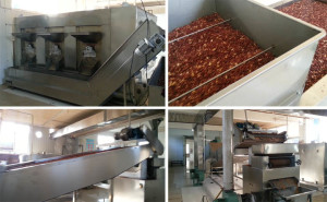 Peanut roasting production line