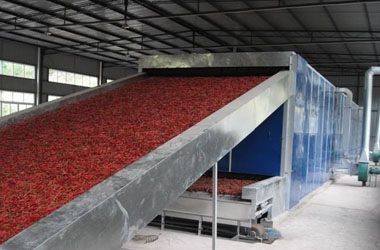 Pepper Drying Machine