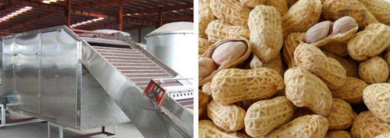 Salty peanut roasting production line