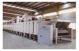 Sunflower seeds roasting production line