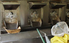 Electrical heating peanut roaster machine