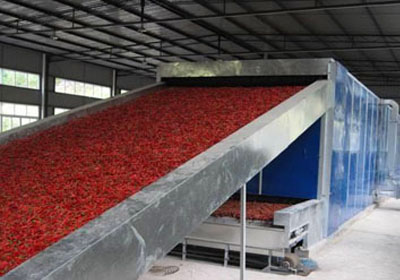 Belt type food drying machine, pepper drying machine