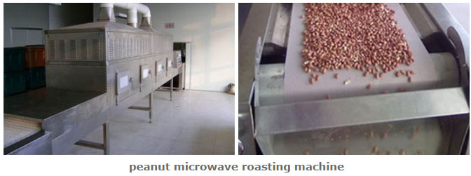 peanut microwave roasting machine