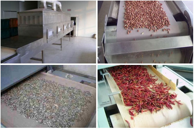 peanut roasting (drying) machine