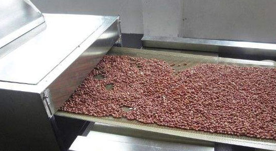 Roasted peanuts production line