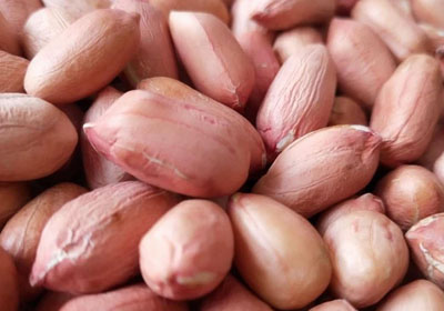 What are the most common types of peanuts in China?