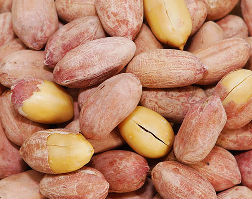 Roasted peanut