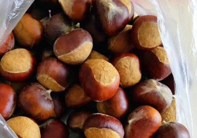 How to store chestnuts