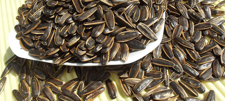 reasted sunflower seeds