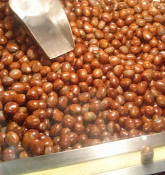 What need to be prepared when roasting chestnuts with roaster machine?