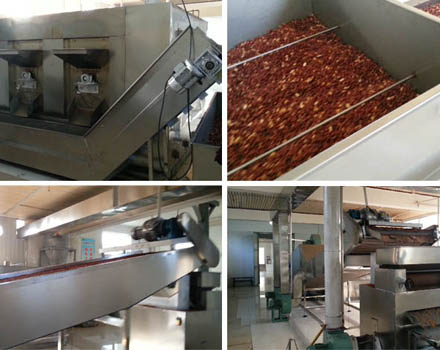 Ji’nan Yunting peanut roasting production line