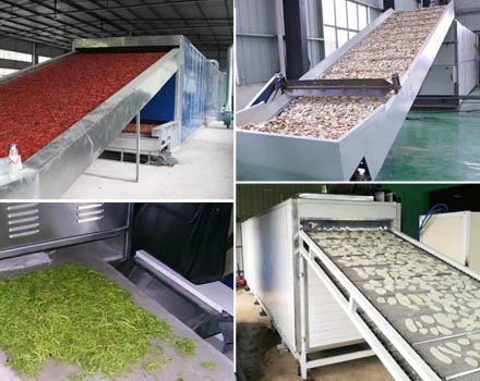 Belt Food Dryer, A Continuous Conveyor Drying Solution
