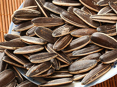 Crafting Spiced Sunflower Seeds with Belt Food Dryer