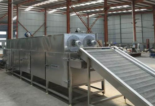 Spiced Peanut Roasting Production Line