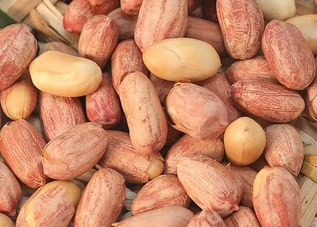 Roasted Peanuts