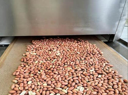 Roasted Peanut