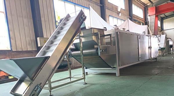 Continuous Nut Roaster