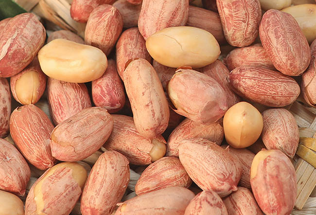 Roasted peanuts