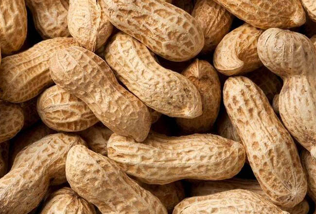 Is the roasting time of the peanut roasting machine fixed?